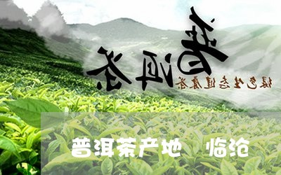 普洱茶产地 临沧/2023041066683